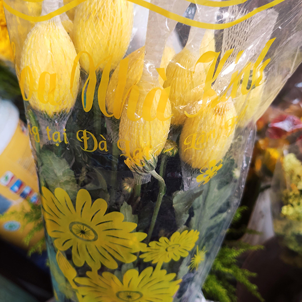 Hoa cúc lưới (vàng)